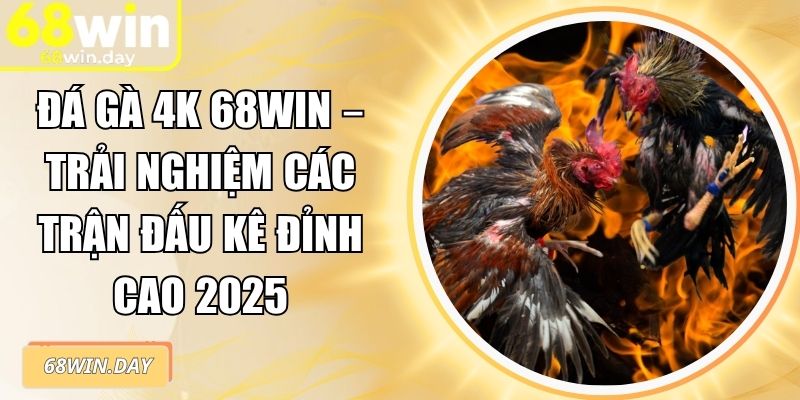 Đá Gà 4K 68win – Trải Nghiệm Các Trận Đấu Kê Đỉnh Cao 2025 3 Đá gà 4K 68win