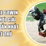 đá gà tre 68win